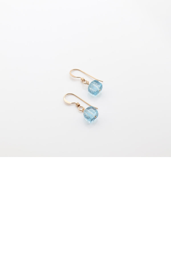 Gem Drop Earrings