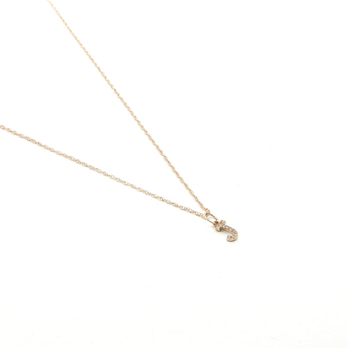 14K Diamond Initial Pendant on 14K Rope Chain